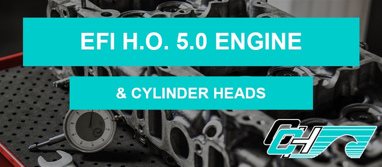EFI H.O. 5.0 Engine